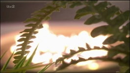 Love Island - Season 11 Episode 08